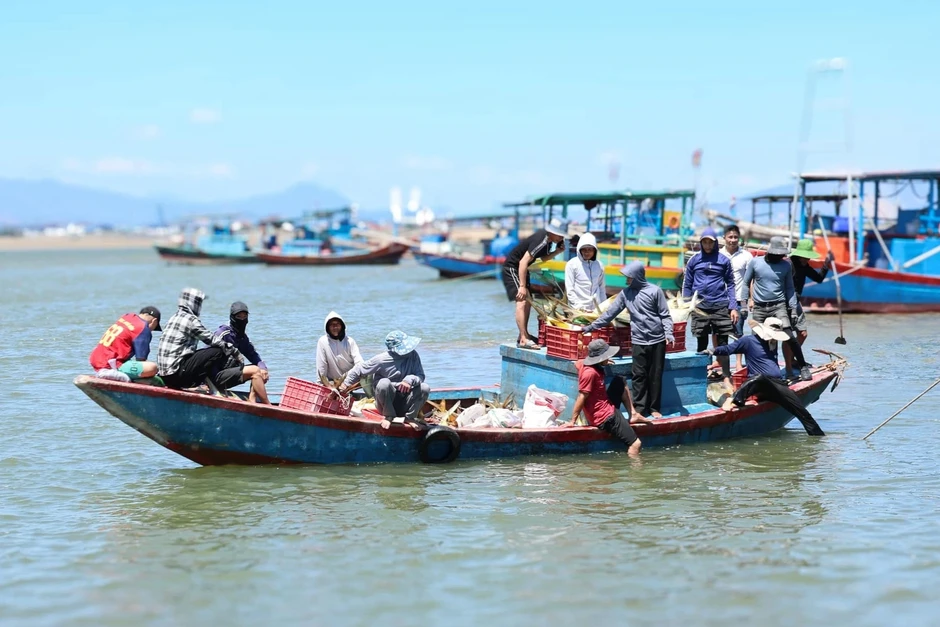 Trúng đậm mẻ cá nhóm "tứ quý", ngư dân thu về 300 triệu đồng Trúng đậm mẻ cá nhóm "tứ quý", ngư dân thu về 300 triệu đồng