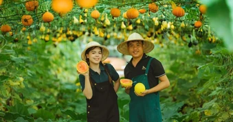 Từ 2 người xa lạ đến trang trại thu hơn nửa tỷ đồng/năm và một đám cưới