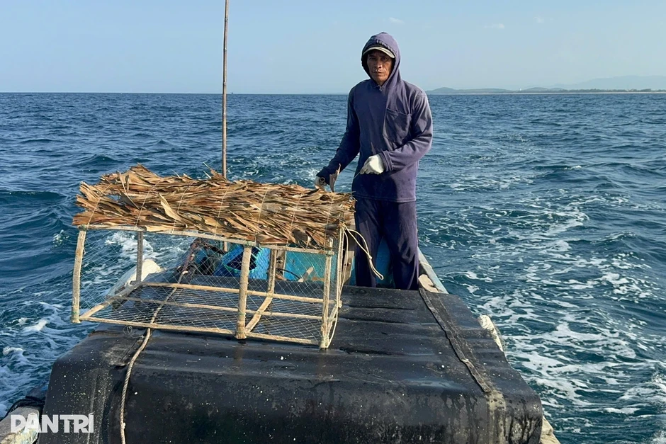 Tuyệt chiêu dụ mực vào "bóng" giúp ngư dân kiếm hơn 1 triệu đồng mỗi ngày Tuyệt chiêu dụ mực vào "bóng" giúp ngư dân kiếm hơn 1 triệu đồng mỗi ngày