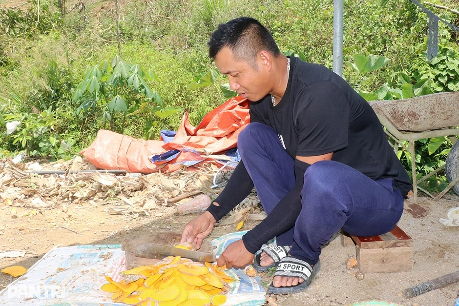 Tỷ phú trồng rừng lót bạt dọc khe nước nuôi con thân mềm, chân bụng