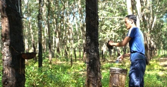 Vào bản tuyển lao động, doanh nghiệp vẫn khó kiếm đủ người