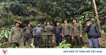 “Canh lửa” giữ rừng mùa hanh khô