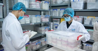[Hỏi-Đáp] Phân công địa bàn tiếp nhận, giám định ADN mẫu hài cốt liệt sĩ như thế nào?