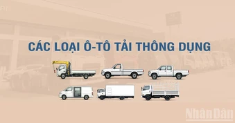 [Infographic] Các loại xe tải thông dụng theo Thông tư số 53/2024/TT-BGTVT