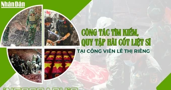 [Infographic] Công tác tìm kiếm, quy tập hài cốt liệt sĩ tại Công viên Lê Thị Riêng
