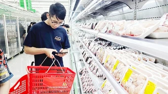 “Làn sóng” độc thân trong xã hội