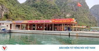 “Lỗ hổng” an toàn đường thủy: Lái tàu tránh va “theo cảm tính” ở vùng biển kín