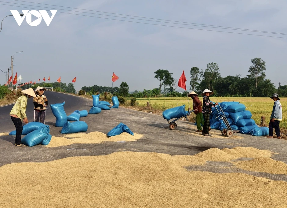 “Mùa vàng” ở vùng rốn lũ Đắk Lắk “Mùa vàng” ở vùng rốn lũ Đắk Lắk