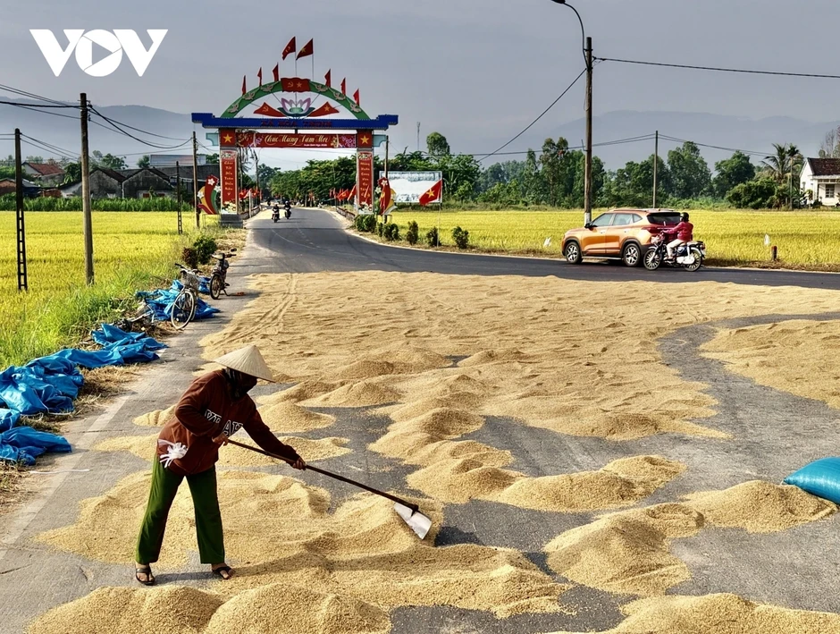 “Mùa vàng” ở vùng rốn lũ Đắk Lắk “Mùa vàng” ở vùng rốn lũ Đắk Lắk