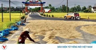 “Mùa vàng” ở vùng rốn lũ Đắk Lắk