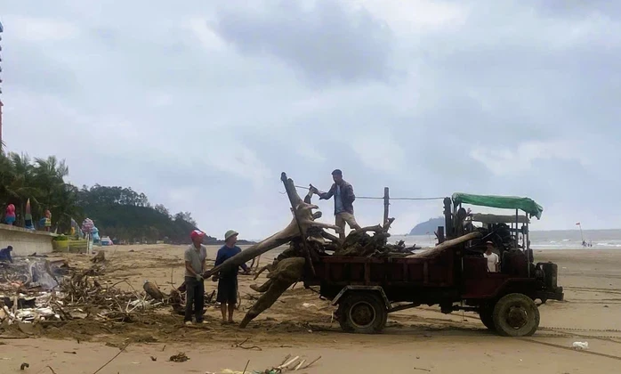 "Bãi chông" ở bãi biển nổi tiếng Thanh Hóa đang được dọn dẹp "Bãi chông" ở bãi biển nổi tiếng Thanh Hóa đang được dọn dẹp