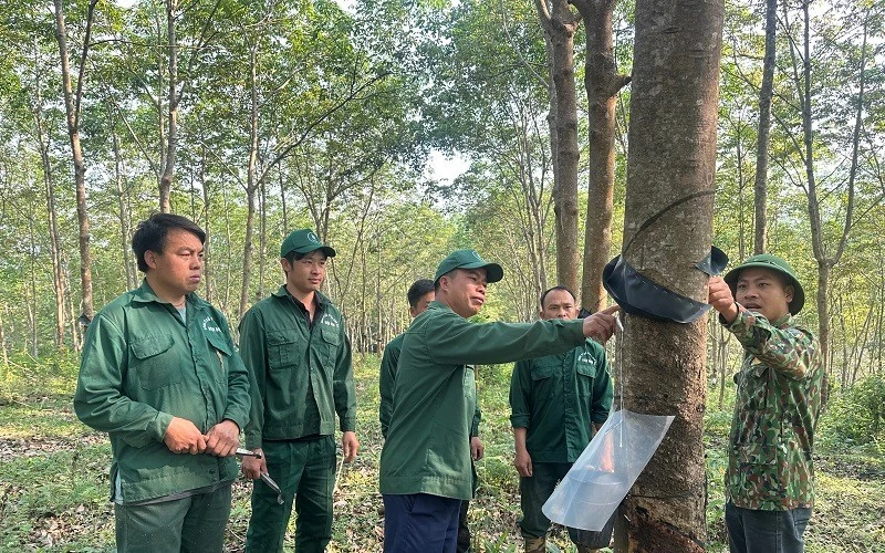 "Điểm tựa" của công nhân nghèo vùng cao "Điểm tựa" của công nhân nghèo vùng cao