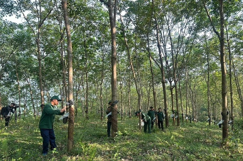 "Điểm tựa" của công nhân nghèo vùng cao "Điểm tựa" của công nhân nghèo vùng cao