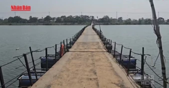 [Video] Cầu phao ở Quảng Trị hoạt động trở lại sau 2 tuần tạm dừng hoạt động