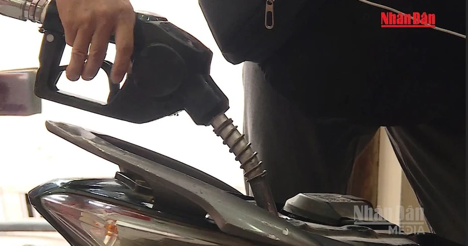 [Video] Chính phủ kéo dài thời hạn áp dụng loạt sắc thuế ưu đãi đối với xăng dầu đến hết năm