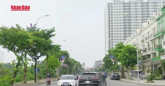 [Video] Hà Nội tổ chức lấy ý kiến việc sử dụng xe máy xăng, hoạt động kinh doanh, vận tải