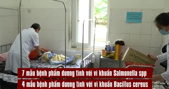 [Video] Phát hiện vi khuẩn Salmonella và Bacillus trong vụ ngộ độc bánh mì ở Quảng Trị
