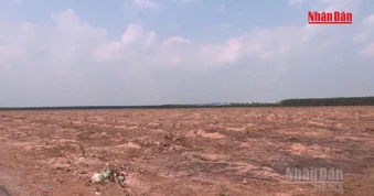 [Video] Ưu tiên thi công các đoạn tuyến giao thông kết nối sân bay Long Thành
