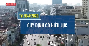 [Video] Xe bán tải, xe hợp đồng dưới 29 chỗ ngồi được lưu thông không hạn chế trong nội đô Hà Nội
