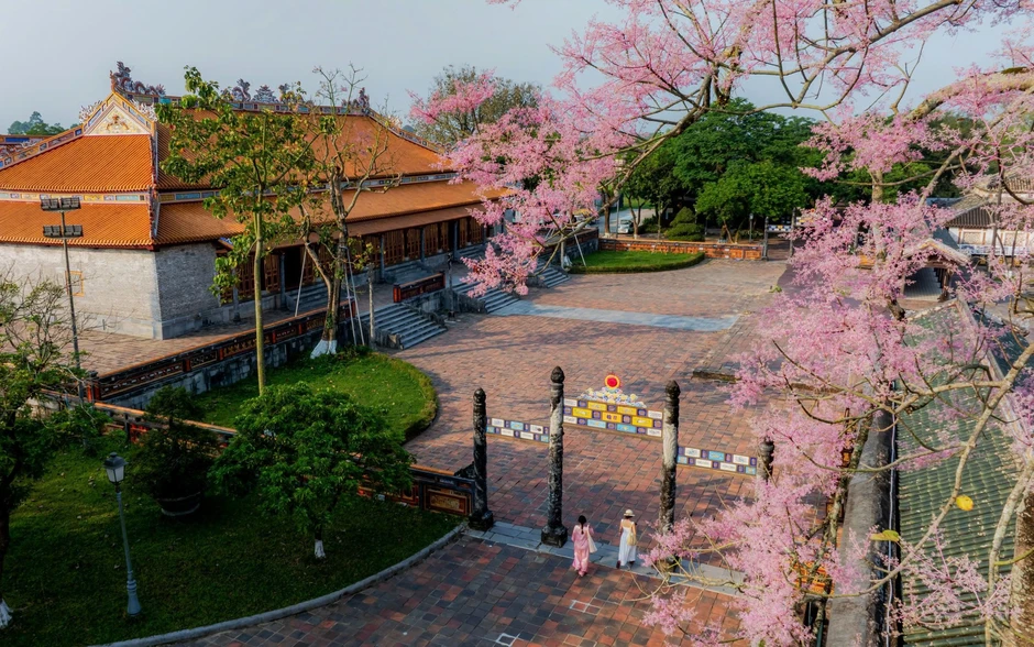 “Vương giả chi hoa” lặng nở giữa trời cố đô Huế “Vương giả chi hoa” lặng nở giữa trời cố đô Huế