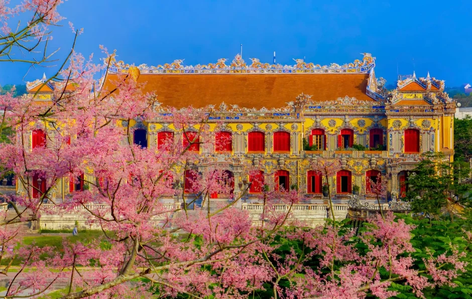 “Vương giả chi hoa” lặng nở giữa trời cố đô Huế “Vương giả chi hoa” lặng nở giữa trời cố đô Huế