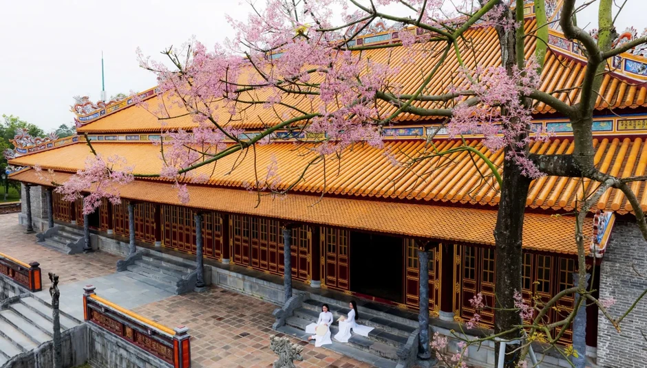 “Vương giả chi hoa” lặng nở giữa trời cố đô Huế “Vương giả chi hoa” lặng nở giữa trời cố đô Huế