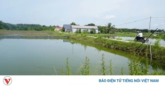 16 hồ, ao ở Tây Ninh được đưa vào danh mục cấm san lấp