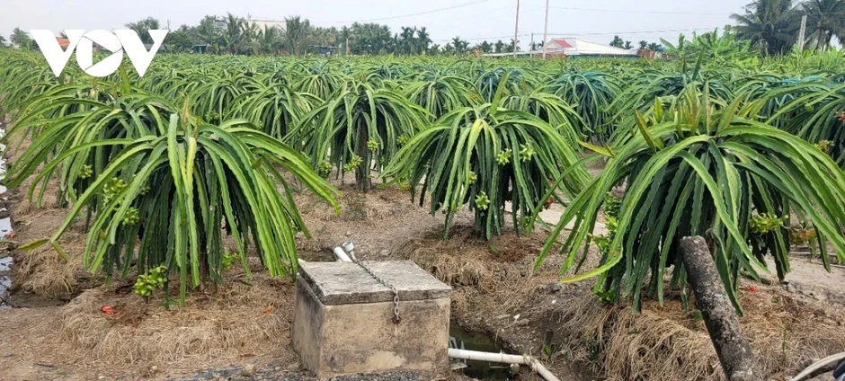2 người tại Đồng Tháp tử vong do kích cá và sơ suất khi dùng mô tơ bơm nước 2 người tại Đồng Tháp tử vong do kích cá và sơ suất khi dùng mô tơ bơm nước