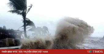 21 địa phương chủ động ứng phó gió mạnh trên biển và bão gần Biển Đông