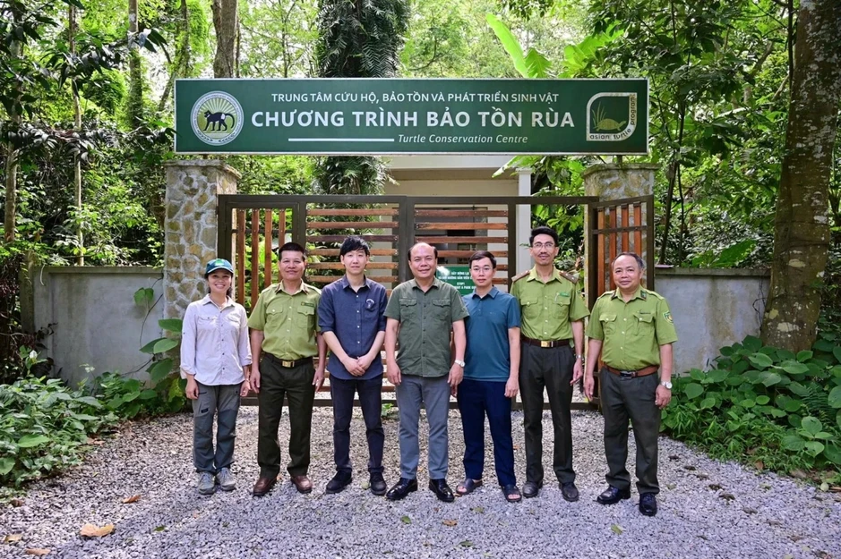 28 cá thể rùa quý hiếm “hồi hương” từ Hàn Quốc về Vườn quốc gia Cúc Phương 28 cá thể rùa quý hiếm “hồi hương” từ Hàn Quốc về Vườn quốc gia Cúc Phương