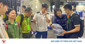 28 cá thể rùa quý hiếm “hồi hương” từ Hàn Quốc về Vườn quốc gia Cúc Phương