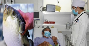 3 người ở Cần Thơ gặp nguy hiểm sau khi ăn canh chua cá nóc