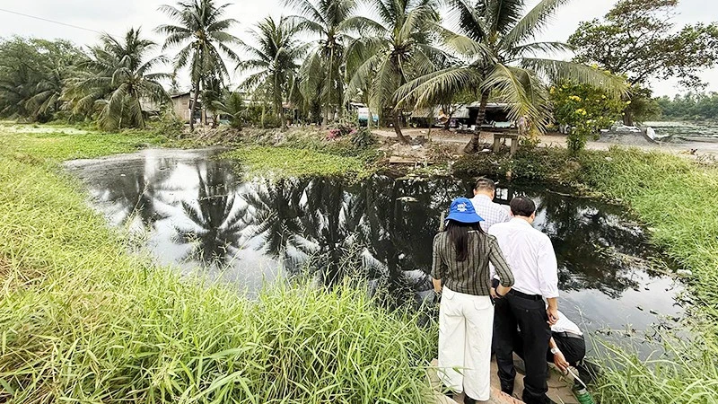 5 công ty trong Khu công nghiệp Lê Minh Xuân bị đề nghị khởi tố 5 công ty trong Khu công nghiệp Lê Minh Xuân bị đề nghị khởi tố