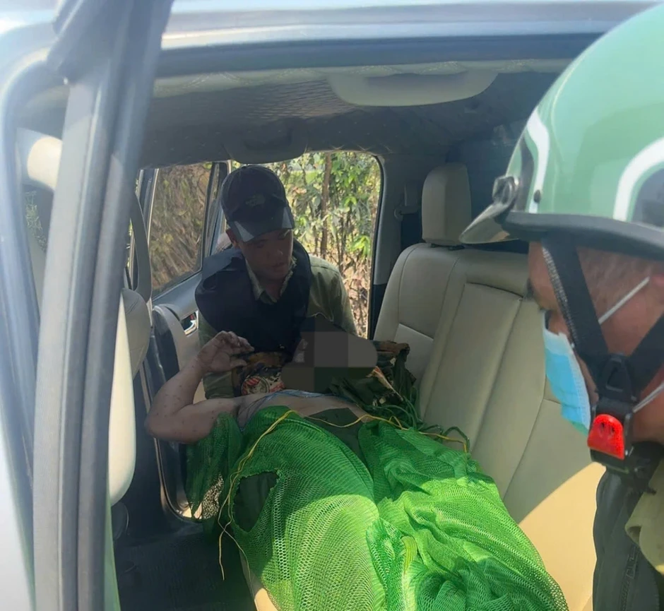 5 người thương vong vì bị ong đốt trong lúc kiểm tra rừng 5 người thương vong vì bị ong đốt trong lúc kiểm tra rừng