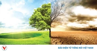 5 quan điểm chỉ đạo của Đảng về bảo vệ môi trường và ứng phó với biến đổi khí hậu