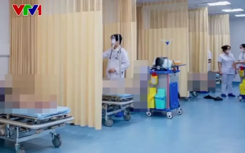 8 người đi cấp cứu vì ong vò vẽ đốt 8 người đi cấp cứu vì ong vò vẽ đốt