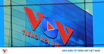 TinVina tuyển dụng viên chức cho Ban Kế hoạch - Tài chính