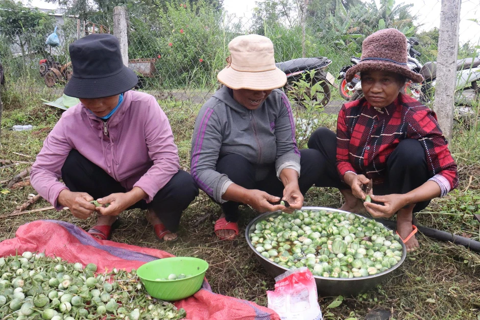 Ẩm thực Tây Nguyên - Bản giao hưởng của hương vị Ẩm thực Tây Nguyên - Bản giao hưởng của hương vị