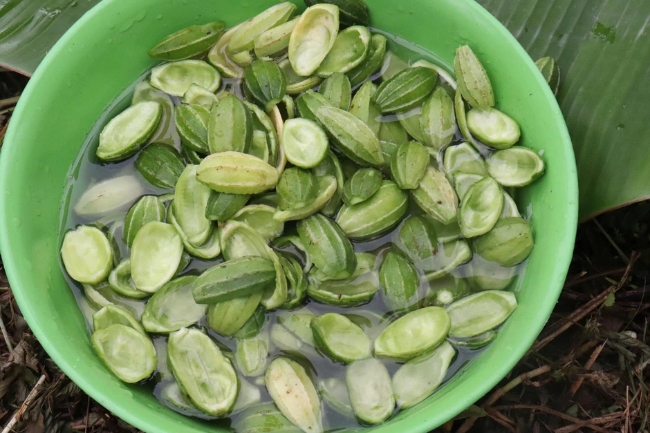 Ẩm thực Tây Nguyên - Bản giao hưởng của hương vị Ẩm thực Tây Nguyên - Bản giao hưởng của hương vị