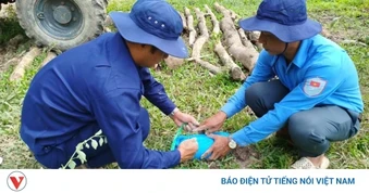 An Giang đẩy nhanh xác định danh tính liệt sĩ bằng giám định ADN