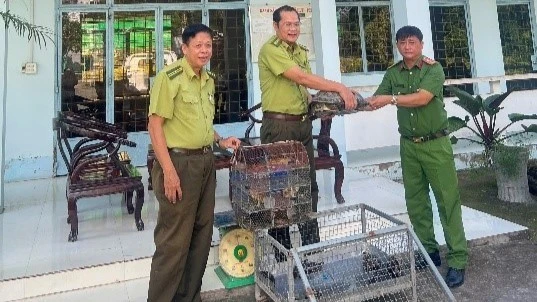 An Giang: Hiệu quả từ tuyên truyền bảo vệ động vật hoang dã An Giang: Hiệu quả từ tuyên truyền bảo vệ động vật hoang dã