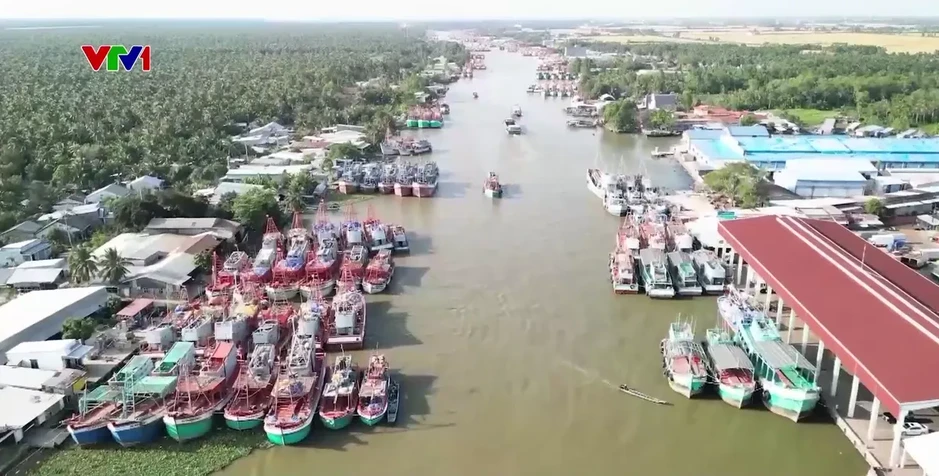An Giang hỗ trợ nâng cấp thiết bị giám sát hành trình tàu cá An Giang hỗ trợ nâng cấp thiết bị giám sát hành trình tàu cá