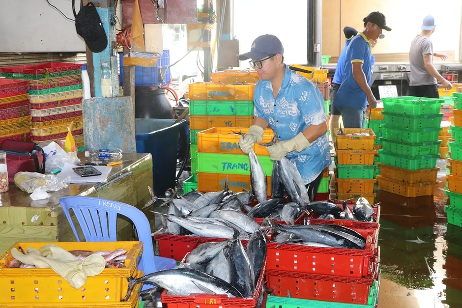 Áp dụng nhật ký khai thác thủy sản điện tử Áp dụng nhật ký khai thác thủy sản điện tử
