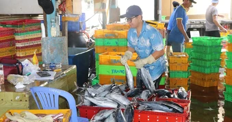 Áp dụng nhật ký khai thác thủy sản điện tử