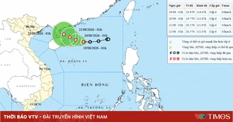 Áp thấp nhiệt đới gây gió mạnh trên biển, sóng cao đến 3,5m
