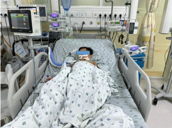 Ba chị em bị ngộ độc sau khi ăn thịt chuột đồng nướng