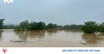 Bắc Bộ đến Bắc Quảng Trị: Chủ động vận hành công trình thủy lợi ứng phó mưa lớn