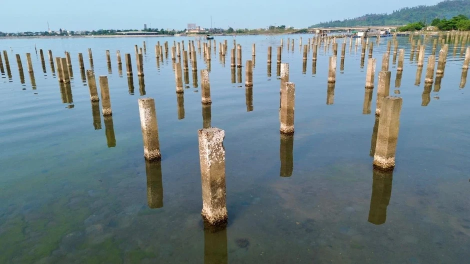Bãi cọc bê-tông “ám ảnh” đầm Lập An, Huế gần hai thập kỷ Bãi cọc bê-tông “ám ảnh” đầm Lập An, Huế gần hai thập kỷ