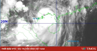 Bão số 1 đổ bộ Quảng Ninh, gió giật cấp 11, mưa rất to đến 350 mm
