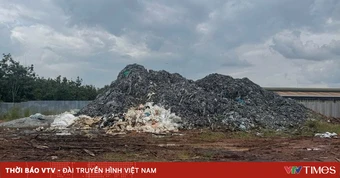 Bắt 2 đối tượng đổ hơn 500 tấn da bò hôi thối gây ô nhiễm môi trường